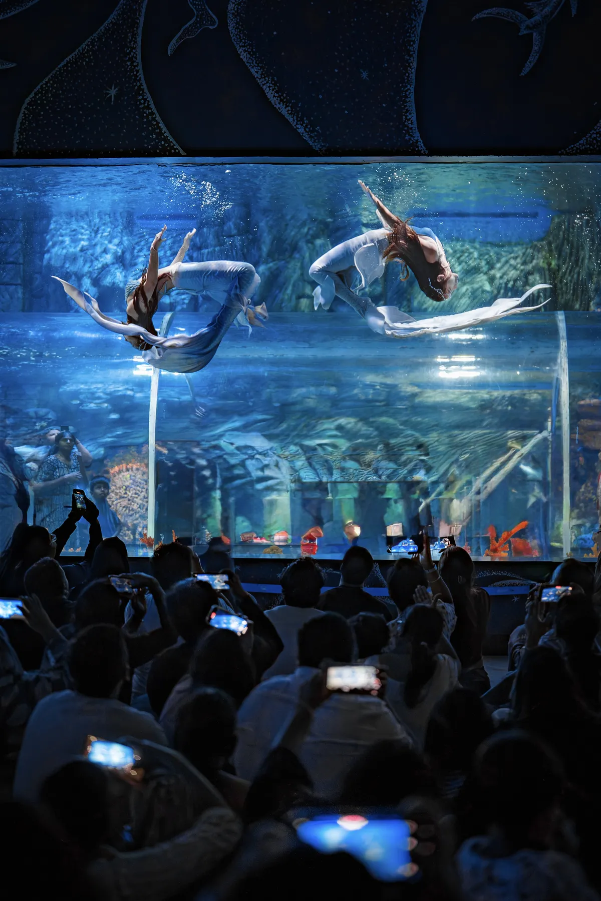 CrazyNioNio — 印度人魚表演水族館官方攝影 3